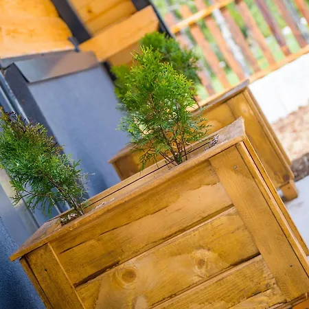 Natural Dream Blidinje *